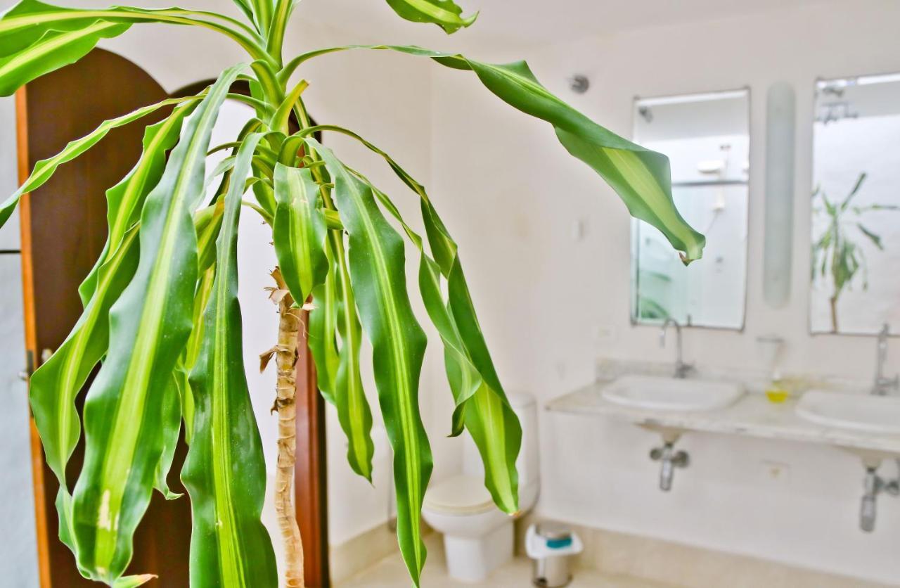 Casa Mani Bed & Breakfast Ubatuba Exterior photo